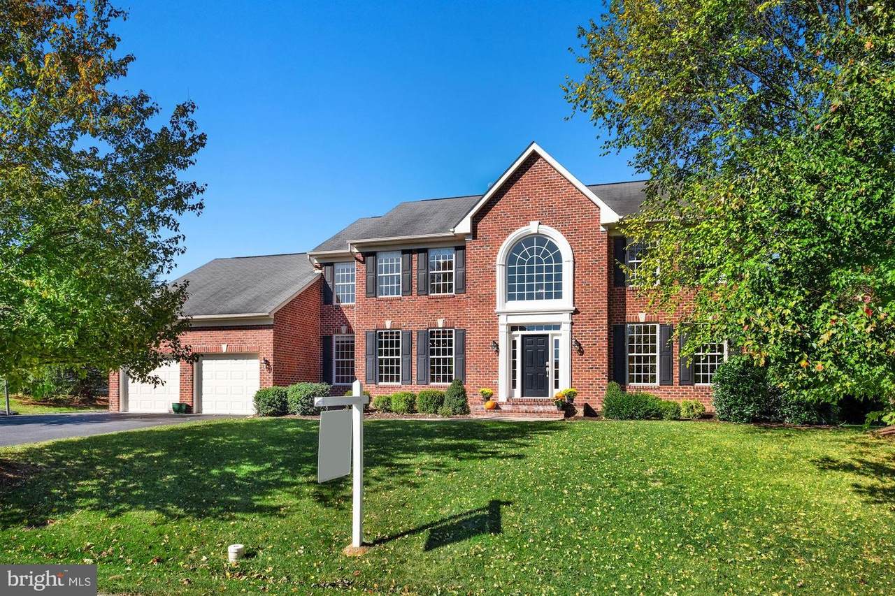 5782 Morland Drive - Photo 1