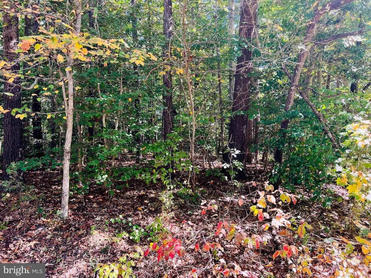 Paradise Lane - Photo 1
