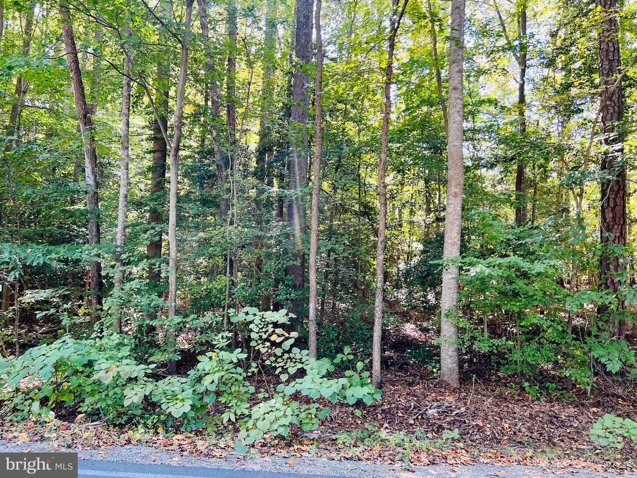 181 Lake Caroline Drive - Photo 1
