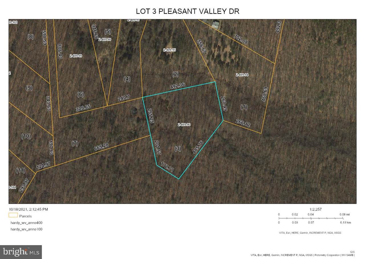 LOT 3 Pleasant Valley Drive - Photo 1