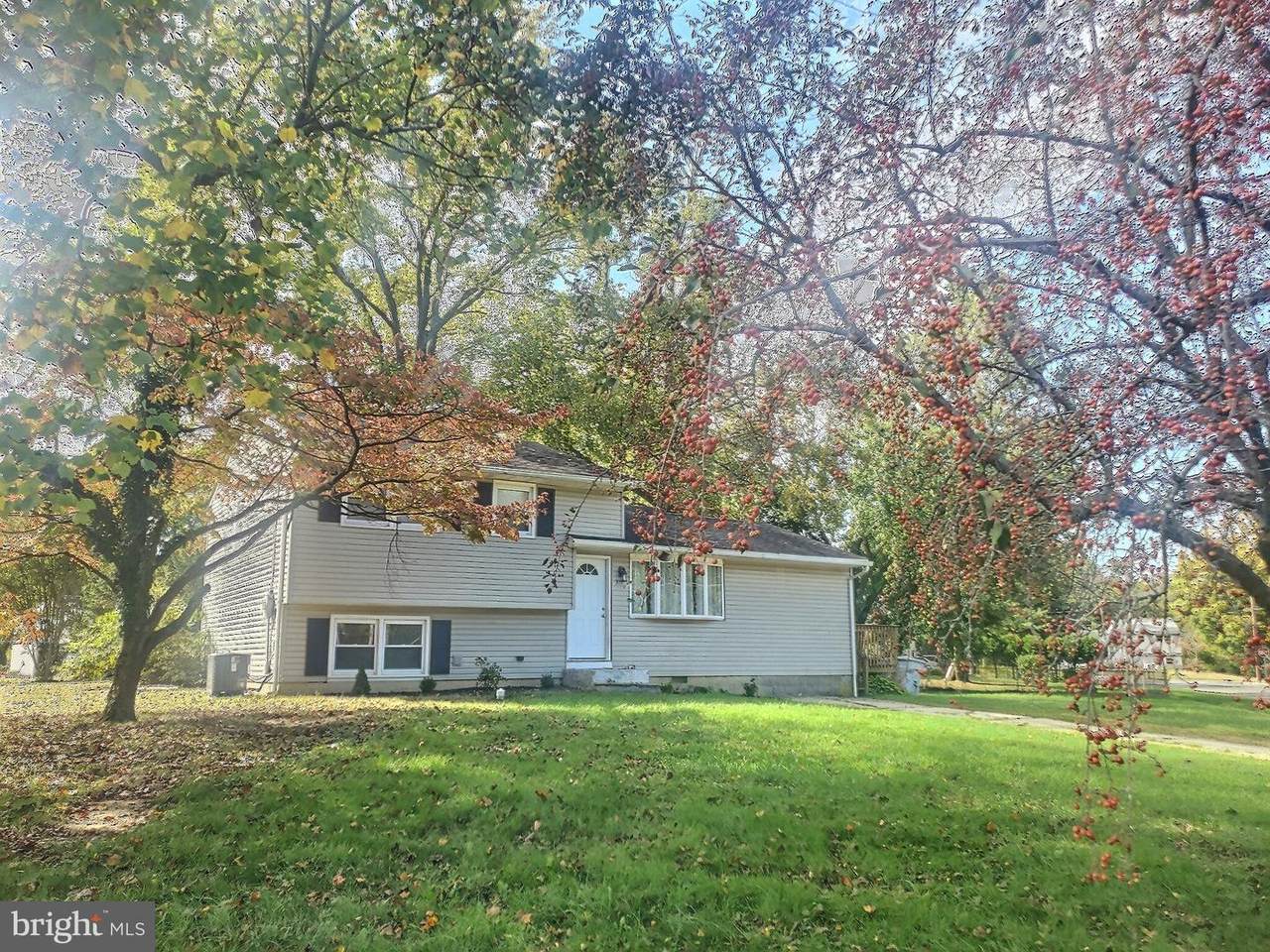 345 Ithaca Street - Photo 1