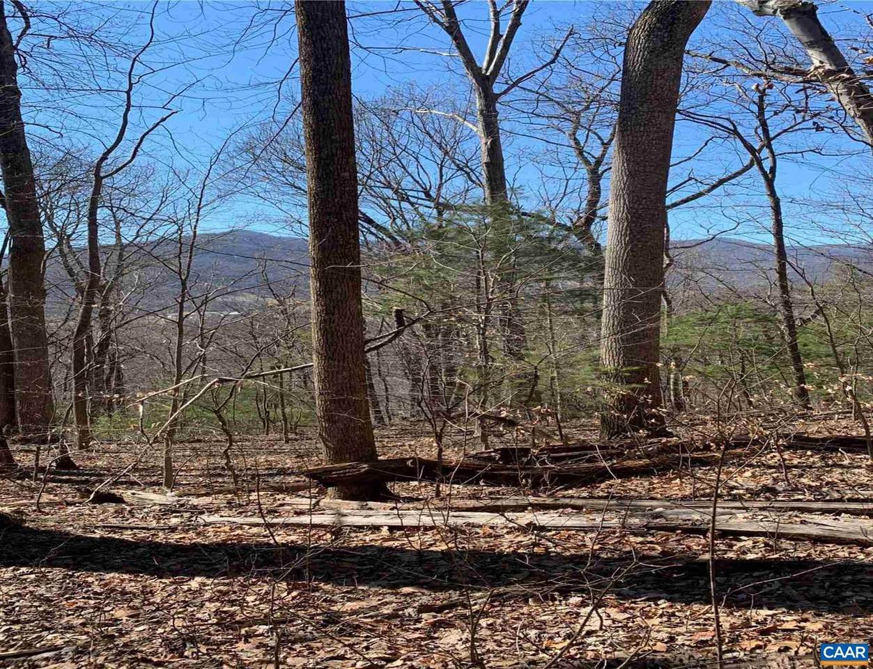 TBD Shotwell Hollow Rd - Photo 1