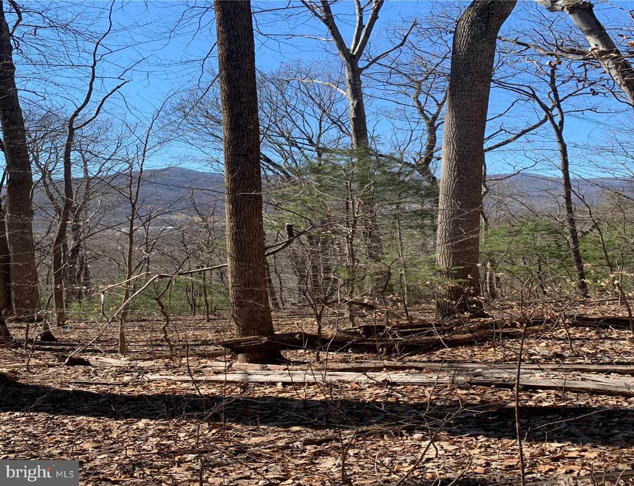 Shotwell Hollow Road - Photo 1
