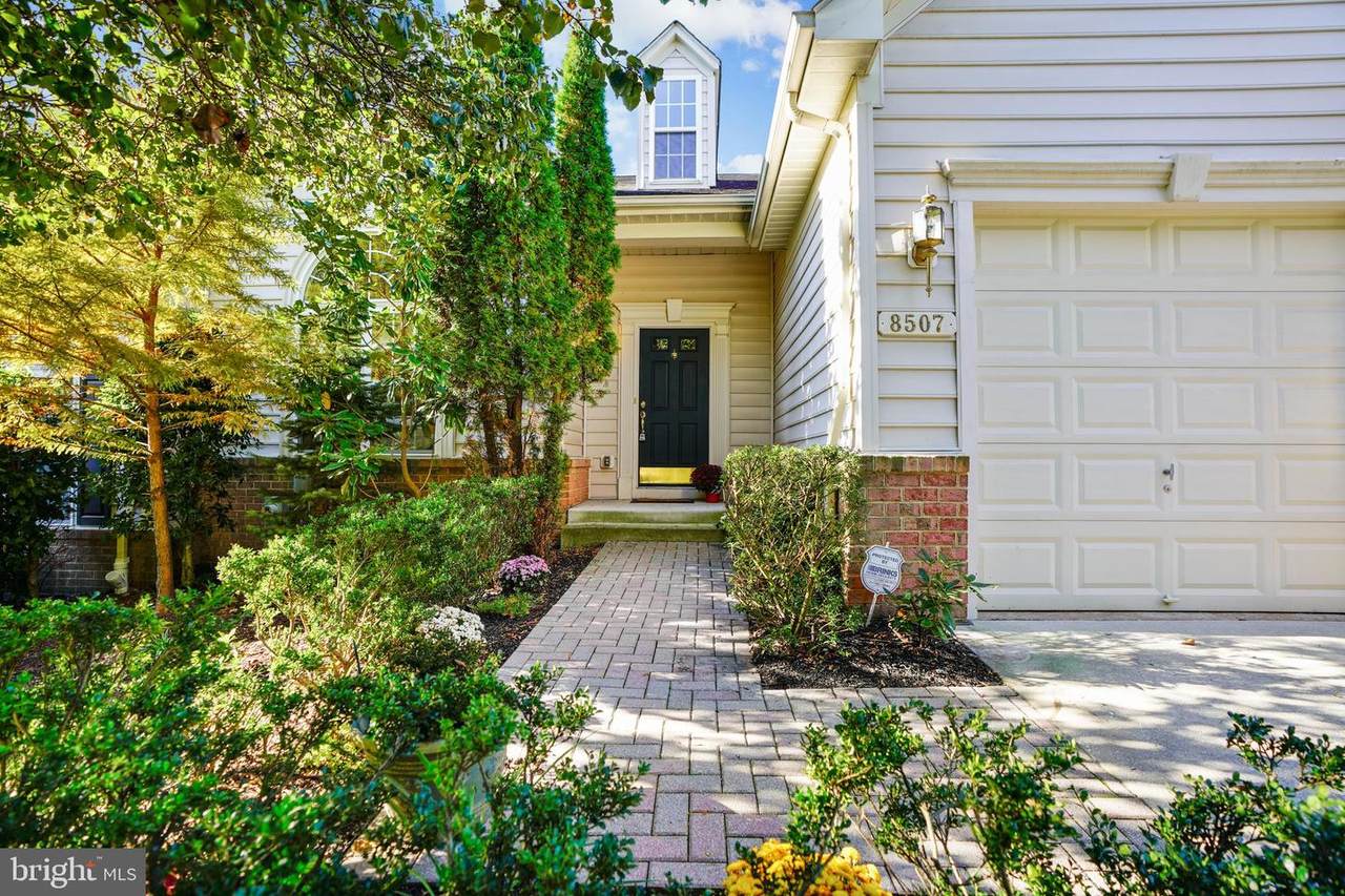 8507 Meadowsweet Road - Photo 1