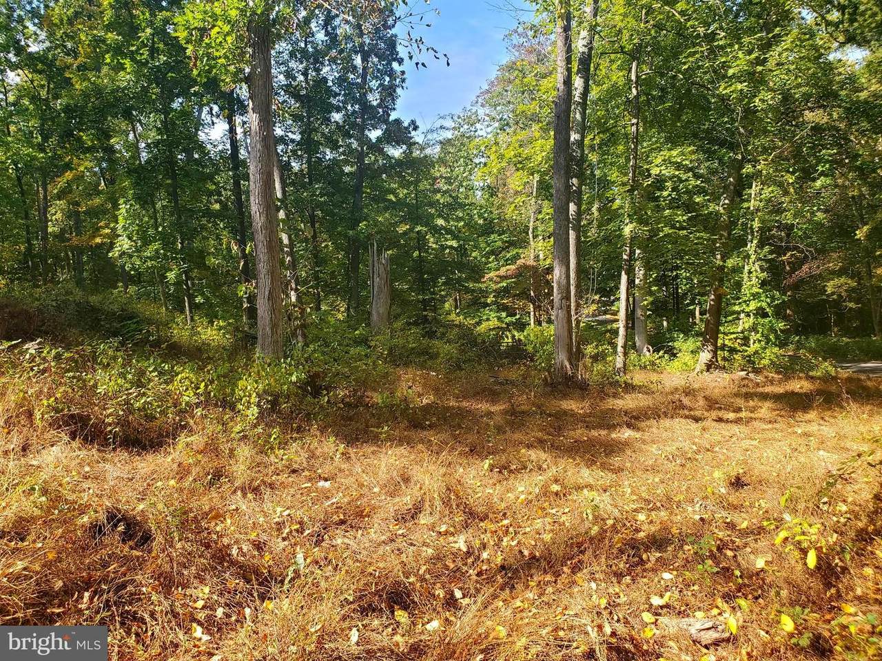 Hornets Nest Road - Photo 1