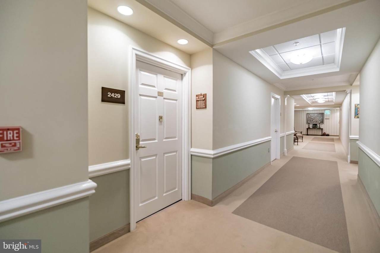 2429 Windrow Drive - Photo 1
