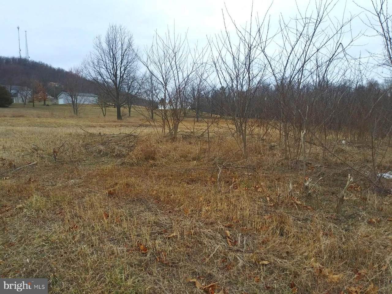 Lot 29 Stoney Apple Dr - Photo 1