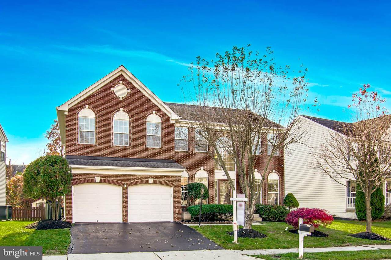 12069 Maidenhair Drive - Photo 1