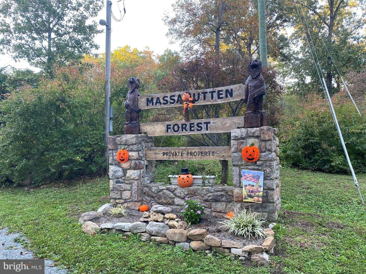 0 Massanutten Forest - Photo 1