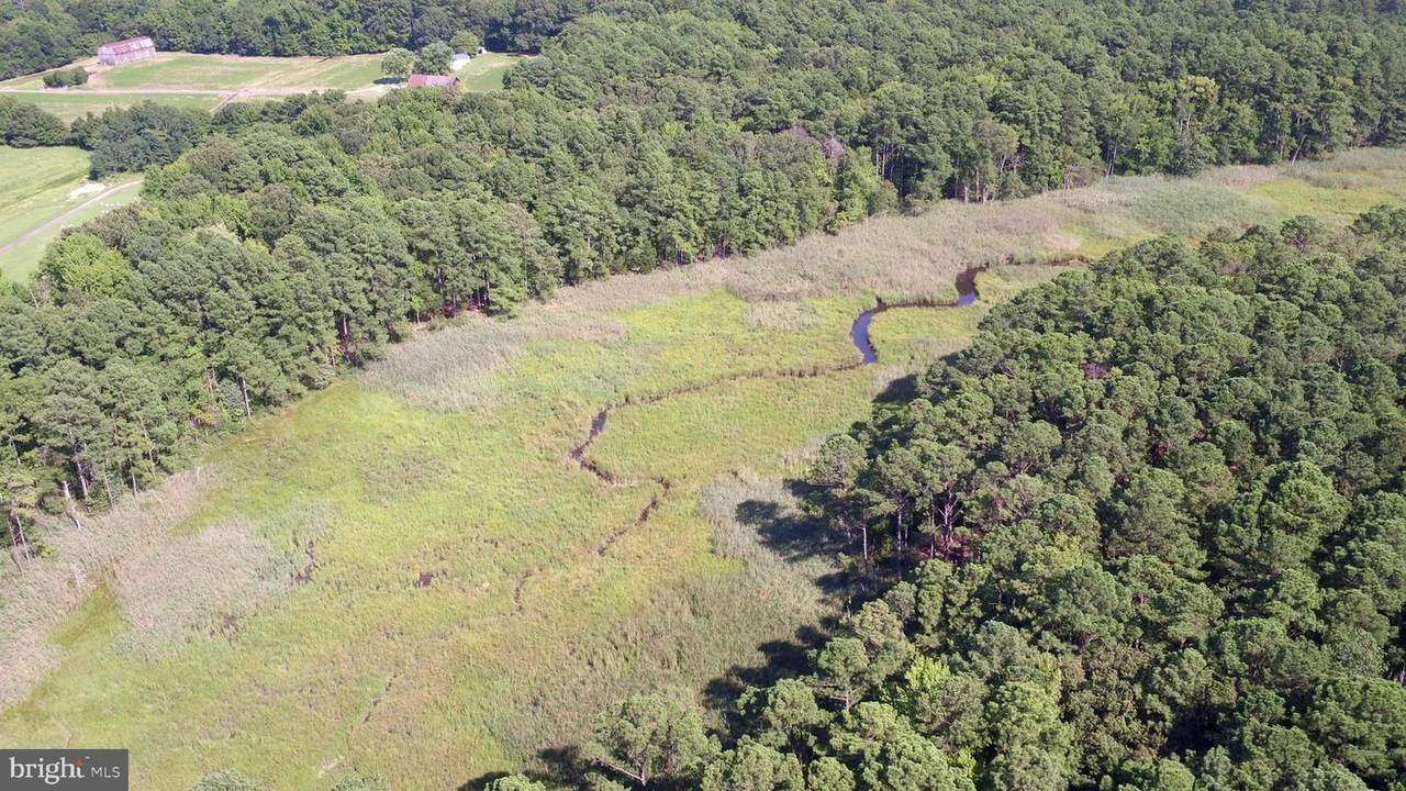 15480 Woodland Point Road - Photo 1