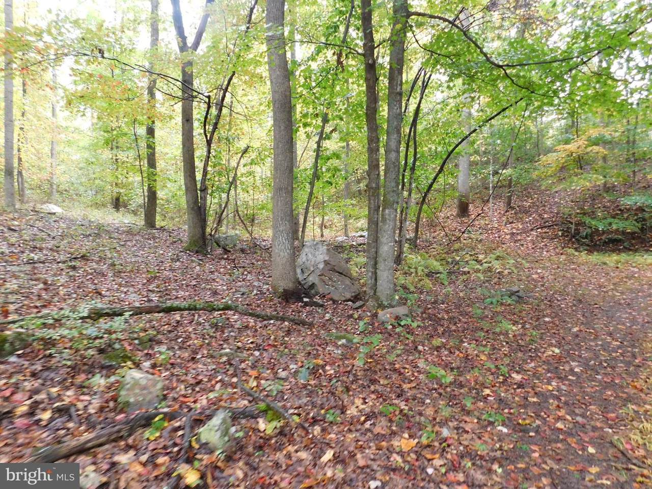 Lot 23 Ron's Drive - Photo 1