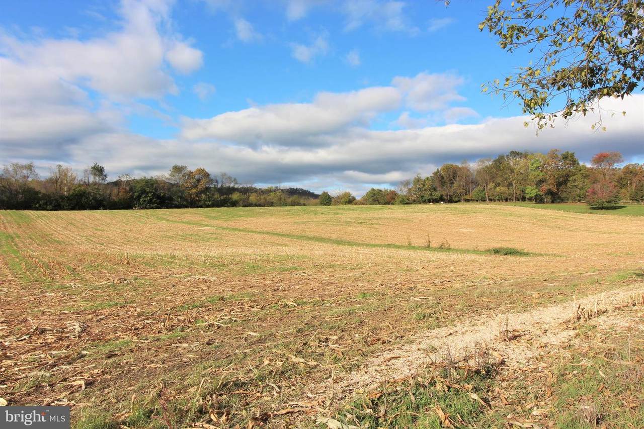tbd Ridge Road - Photo 1