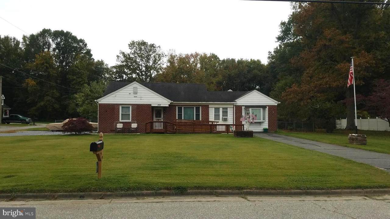 293 Pittsfield Street - Photo 1