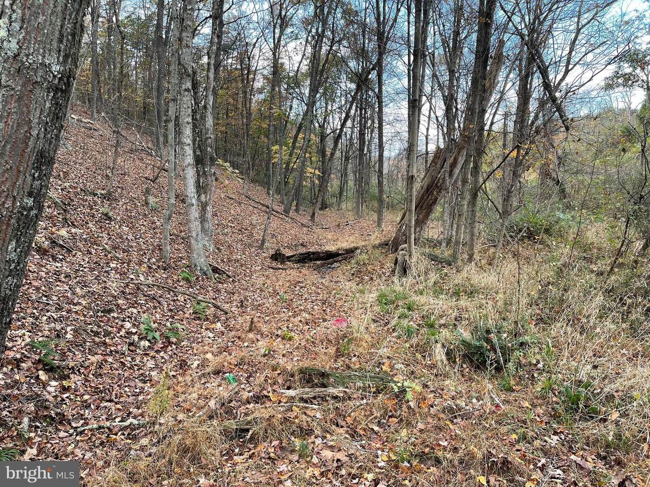 0 Winchester Grade Road - Photo 1