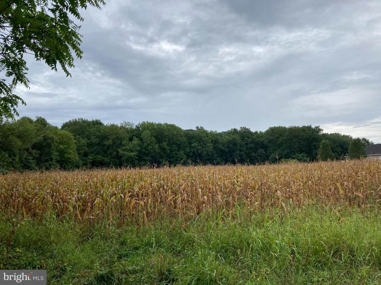 37 Lincoln Mill Road - Photo 1