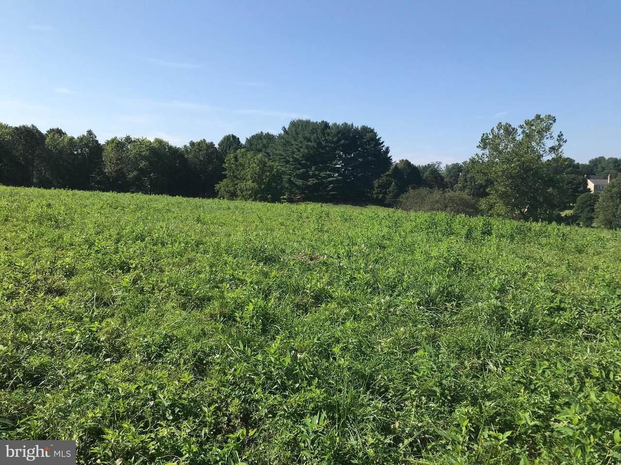 21704 Woodfield Road - Photo 1