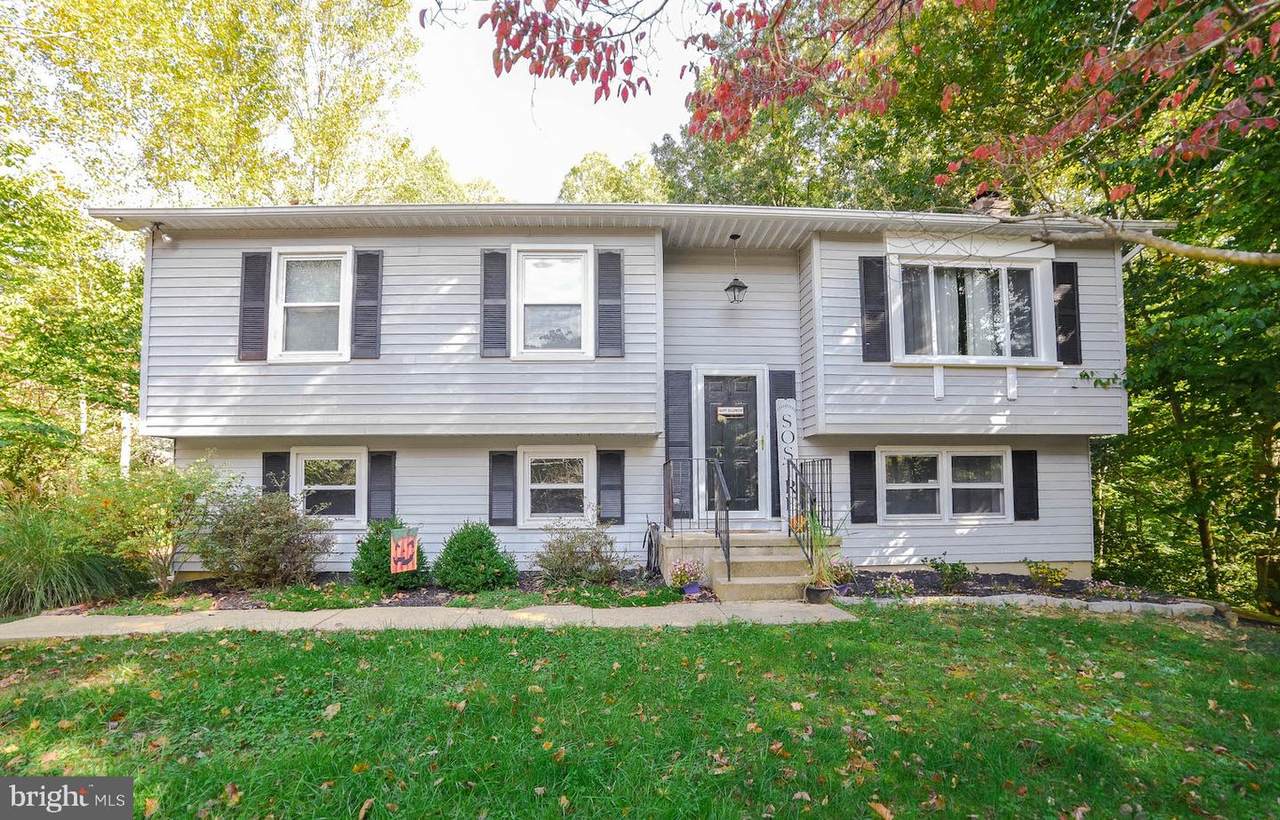 41160 Jesse Drive - Photo 1