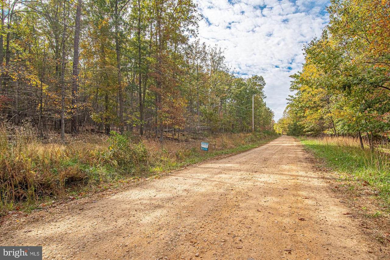 Wooded Lane - Photo 1