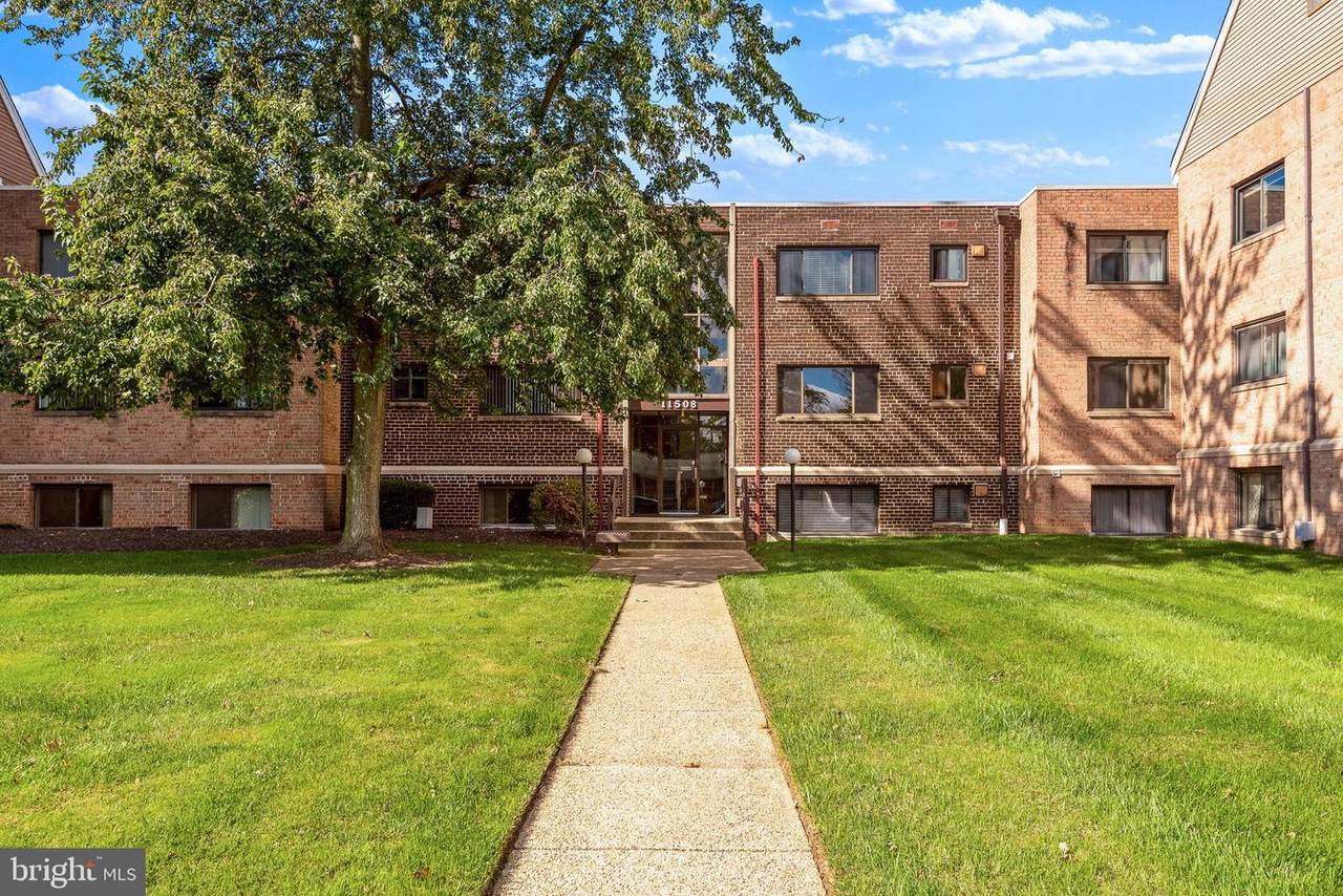 11508 Bucknell Drive - Photo 1