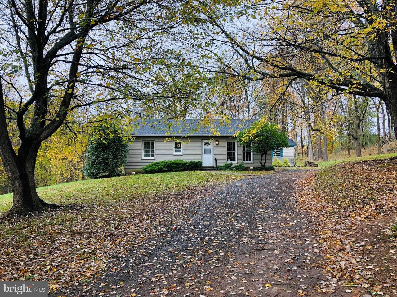 38100 Homestead Farm Lane - Photo 1
