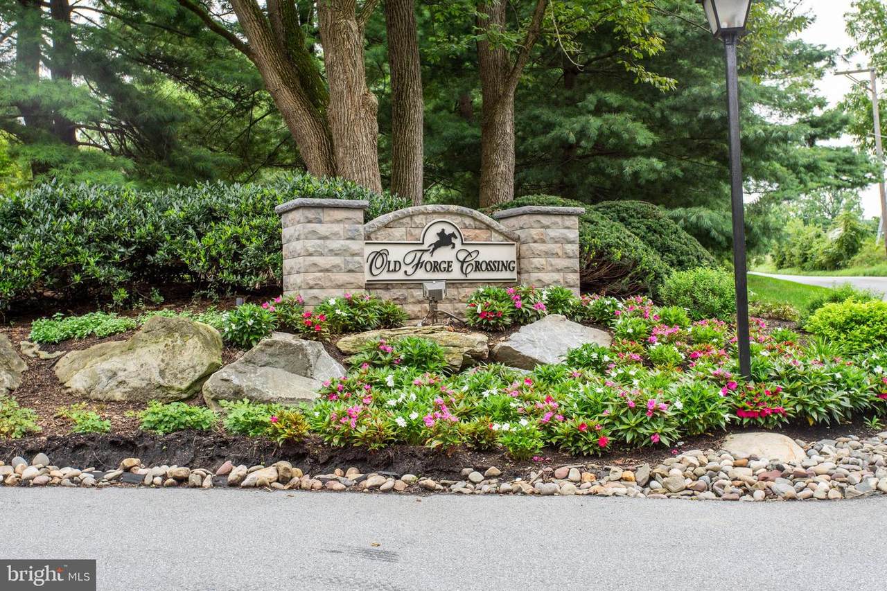165 Old Forge Crossing - Photo 1