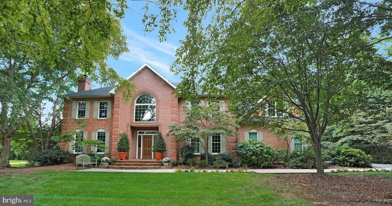 11020 Sani Lane - Photo 1