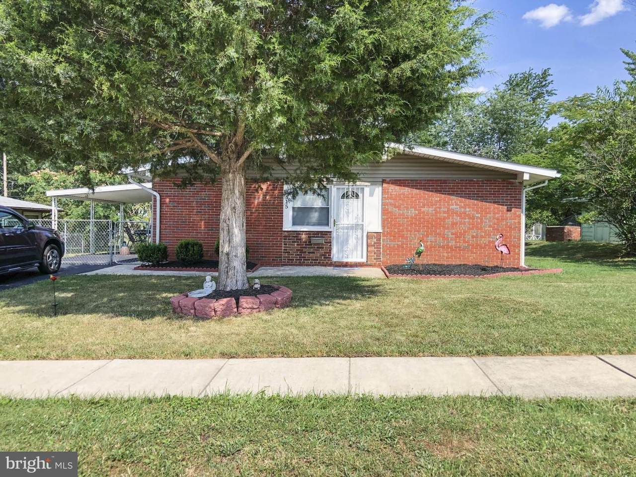 3815 Fernside Road - Photo 1