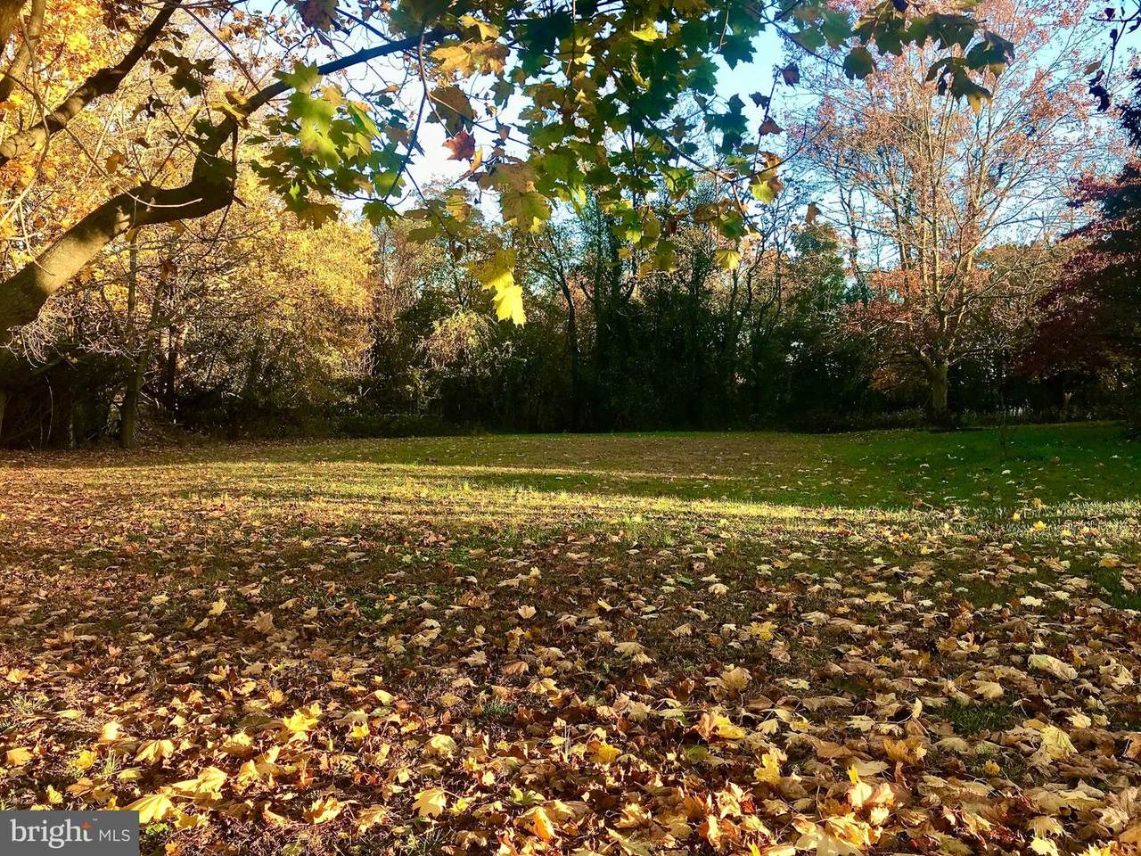 Maple Avenue - Photo 1