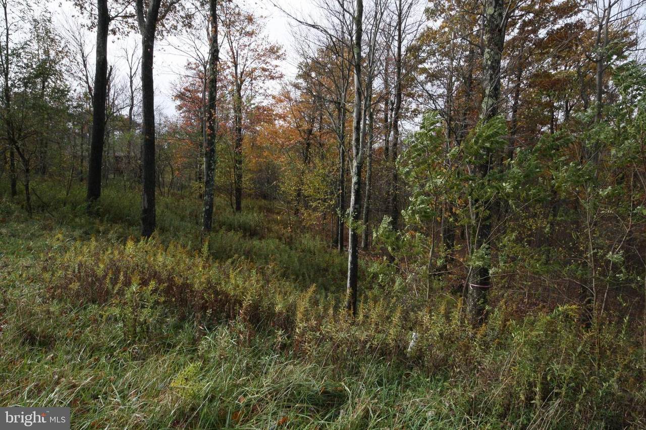 103 Lower Pond Road - Photo 1