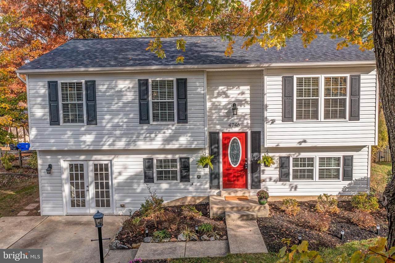 4746 Hummingbird Drive - Photo 1