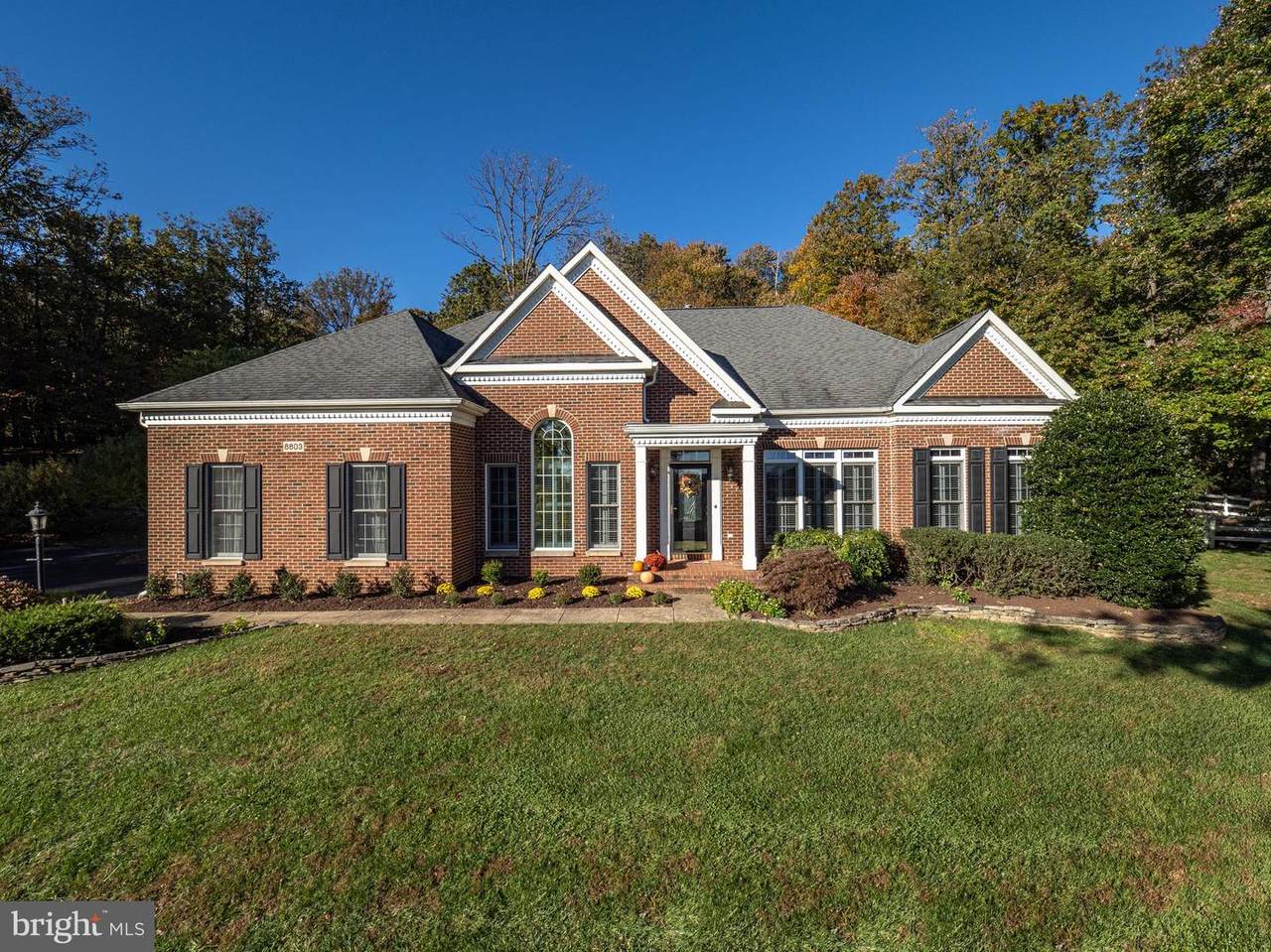 8803 Primula Drive - Photo 1
