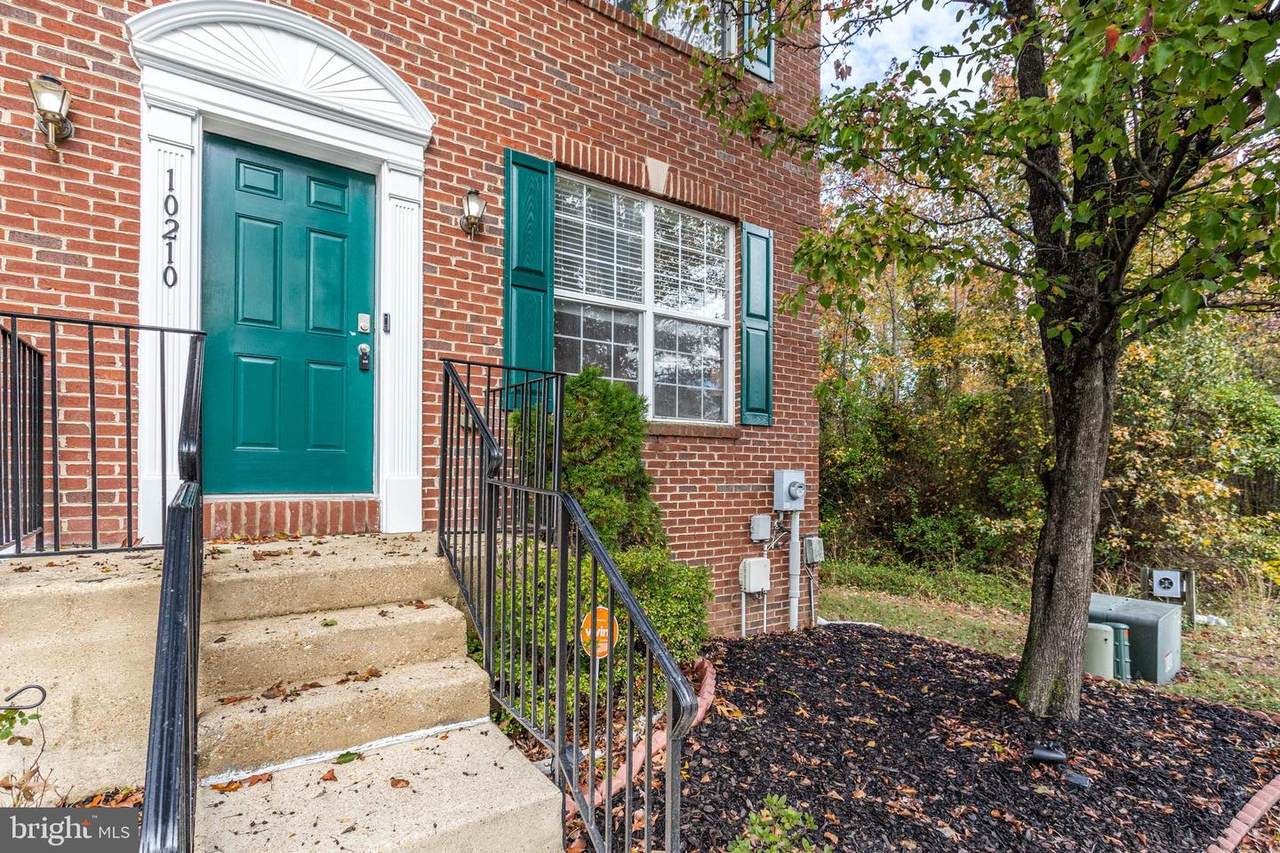 10210 Tree Frog Place - Photo 1