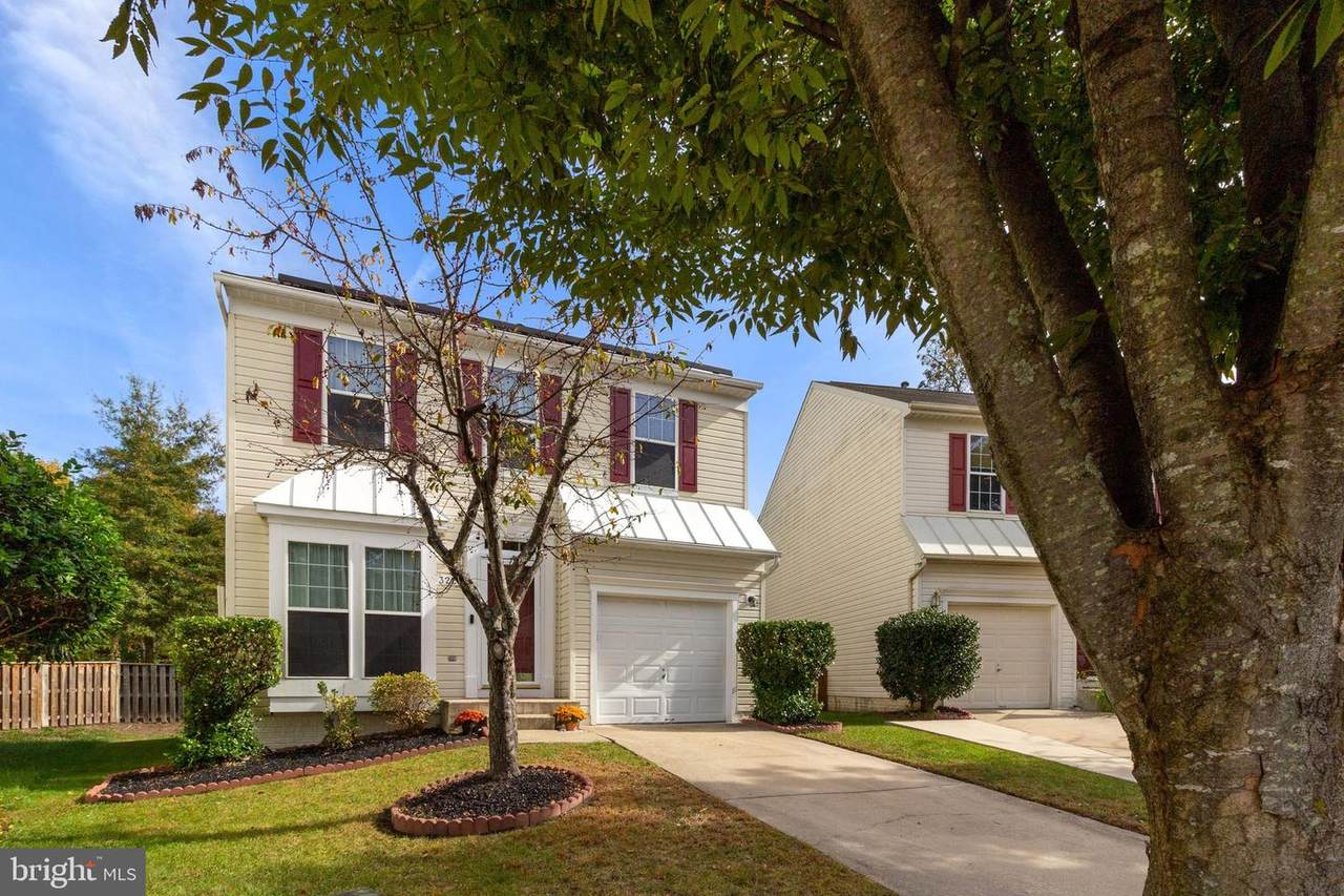 3228 Orient Fishtail Road - Photo 1