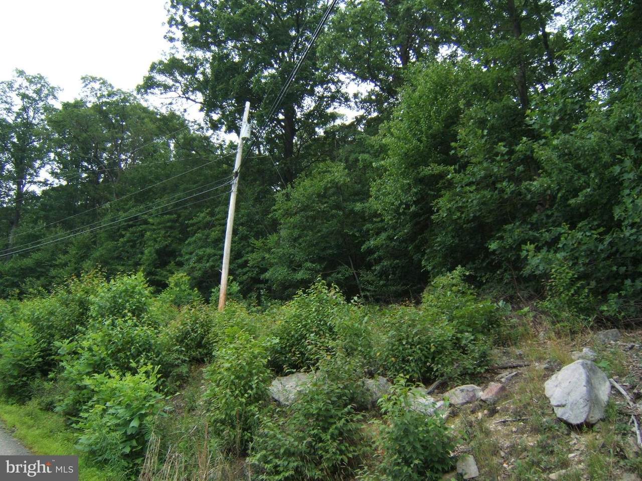 000 Short Mountain Road - Photo 1