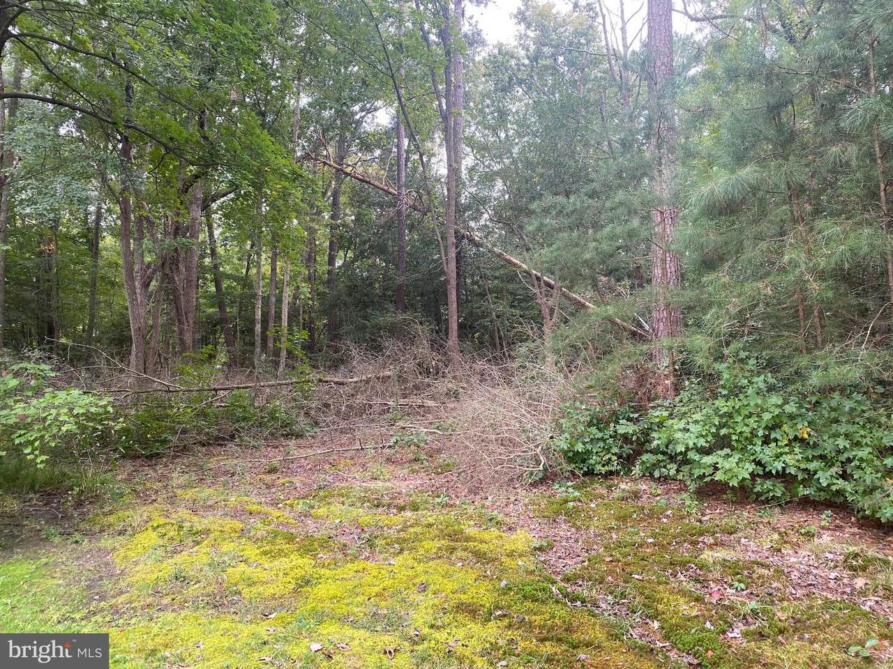 Sewell Road - Photo 1