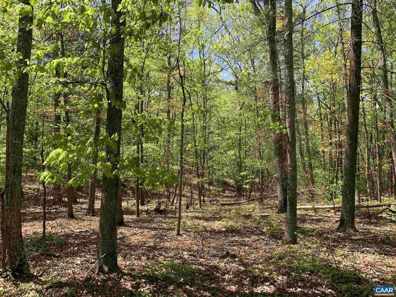 000 Campbell Rd - Photo 1