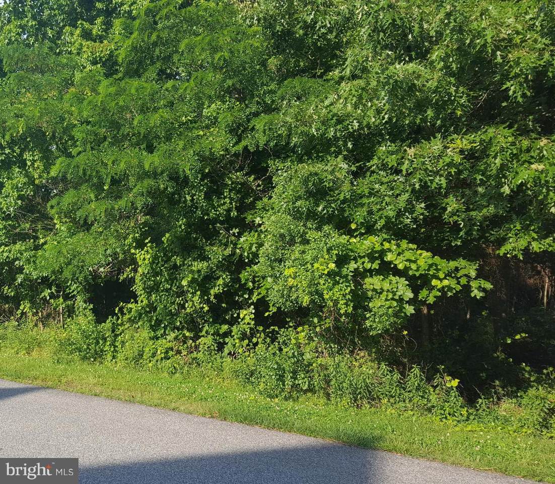11265 Keokee Court - Photo 1