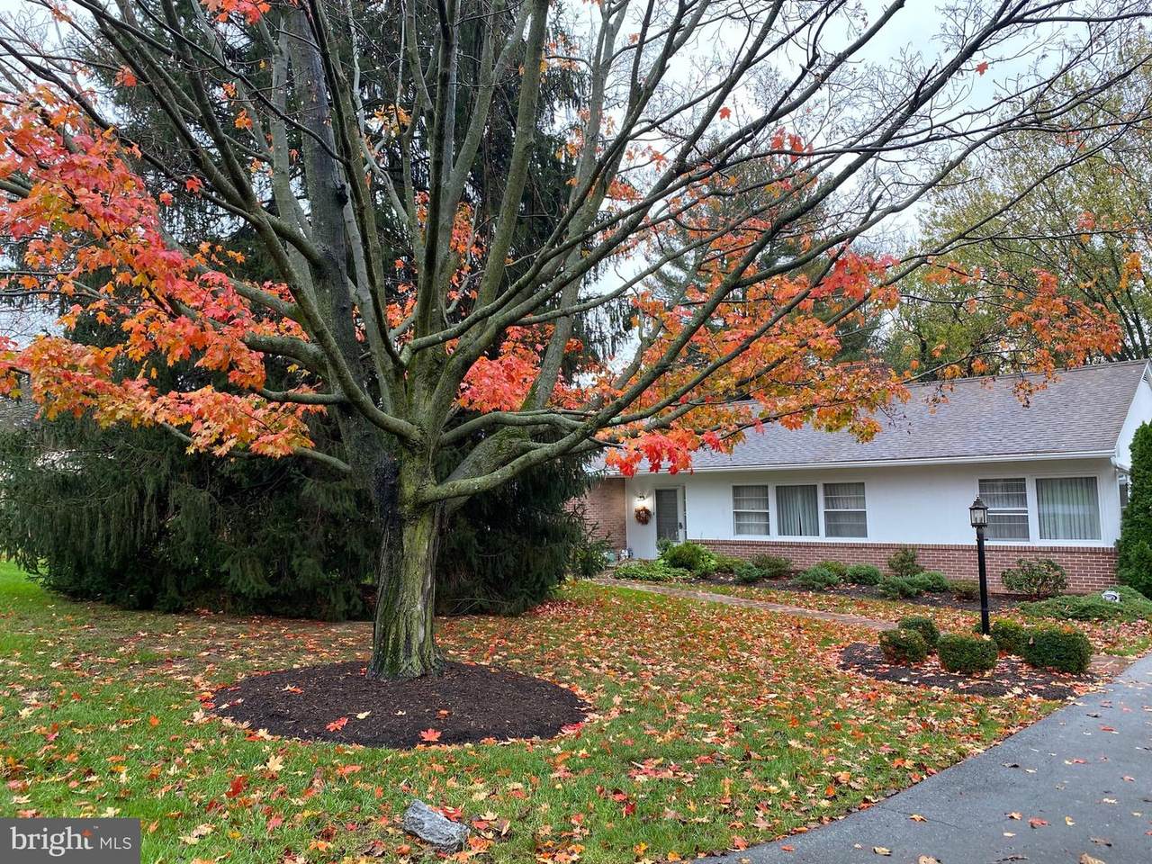13125 Fountain Head Road - Photo 1
