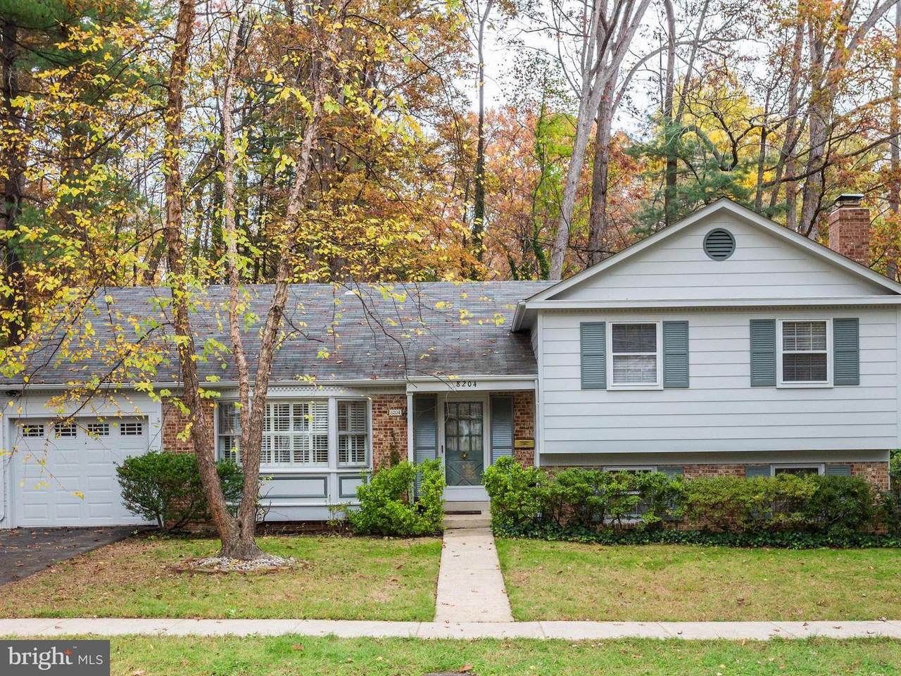 8204 Mockingbird Drive - Photo 1