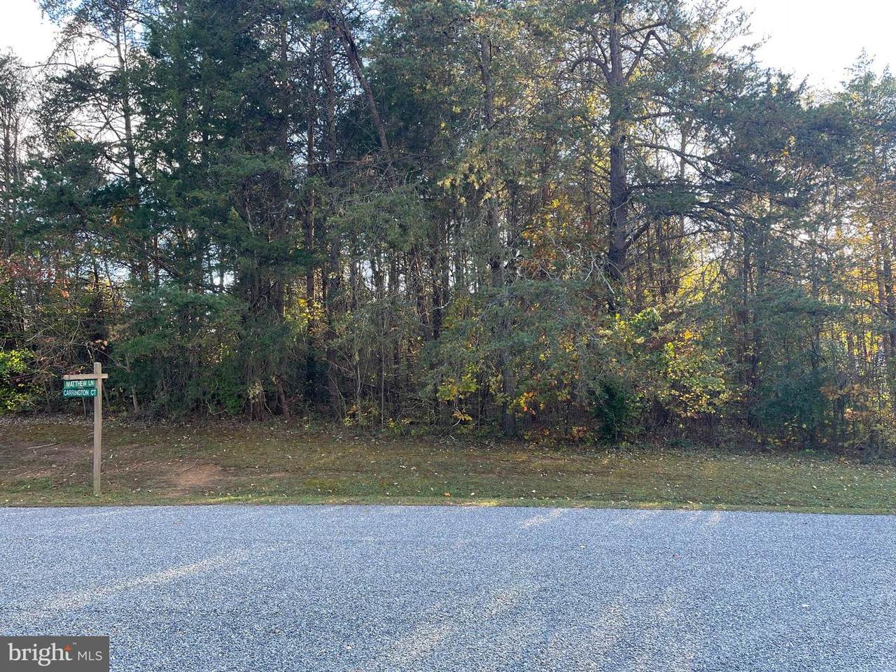 16022 Carrington Court - Photo 1