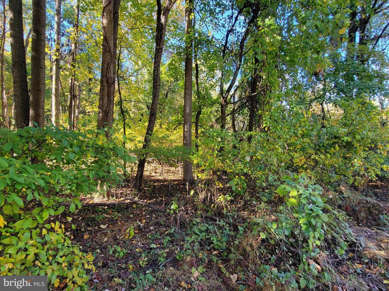 15 High Trail - Photo 1