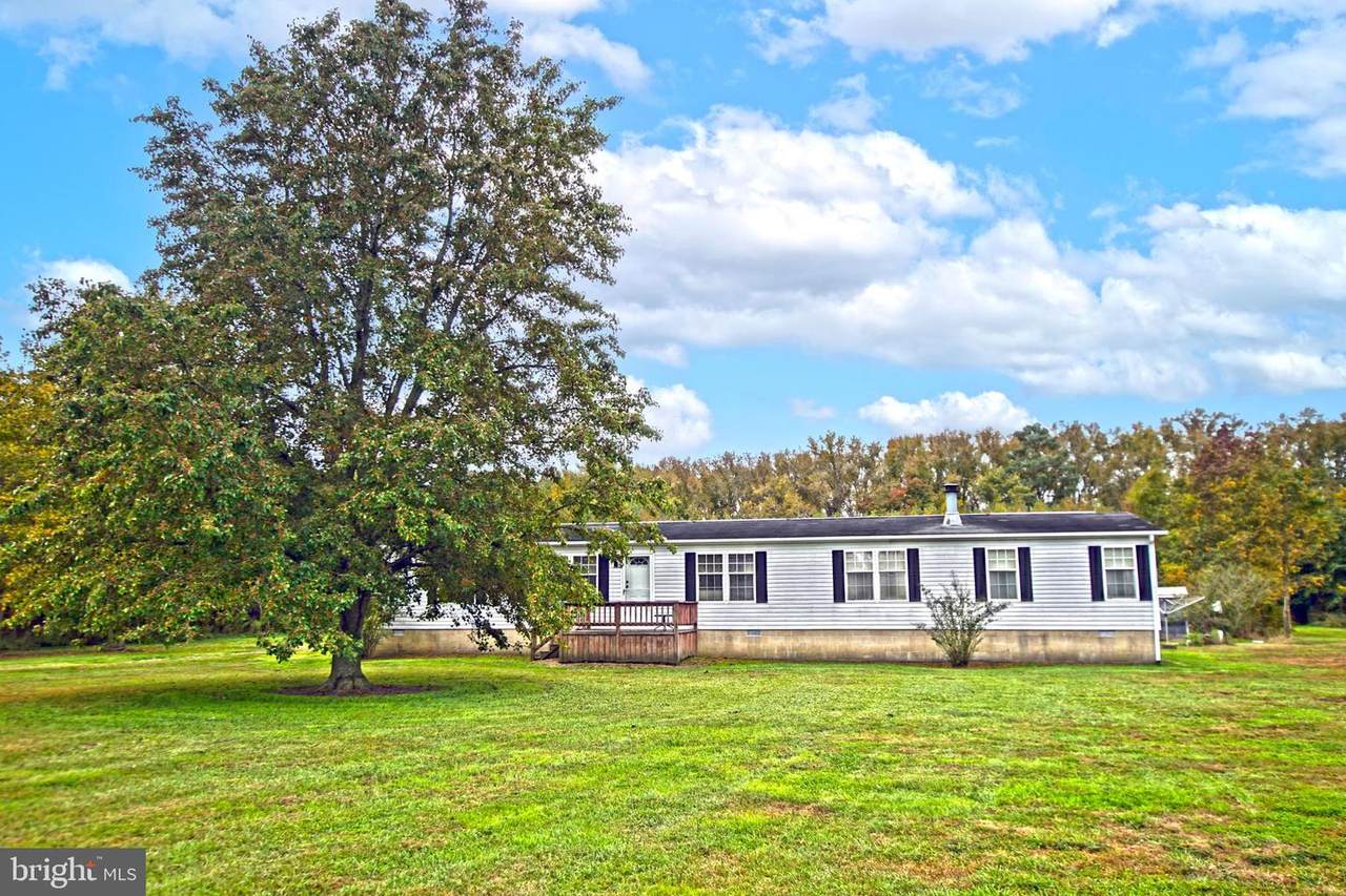 28150 Gum Tree Road - Photo 1