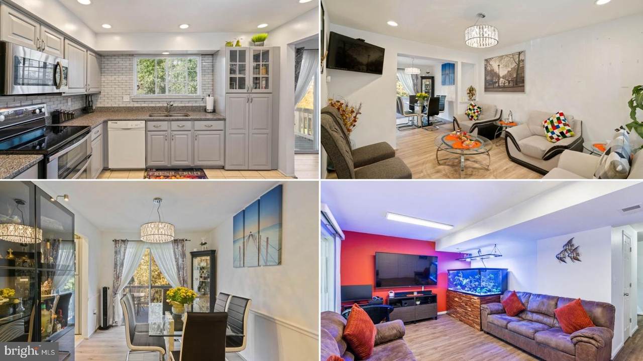 12216 Allspice Court - Photo 1