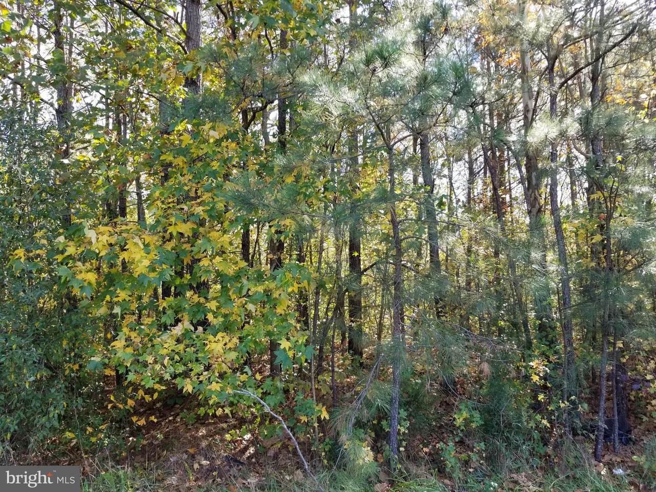 00 Nelson Hill Road - Photo 1