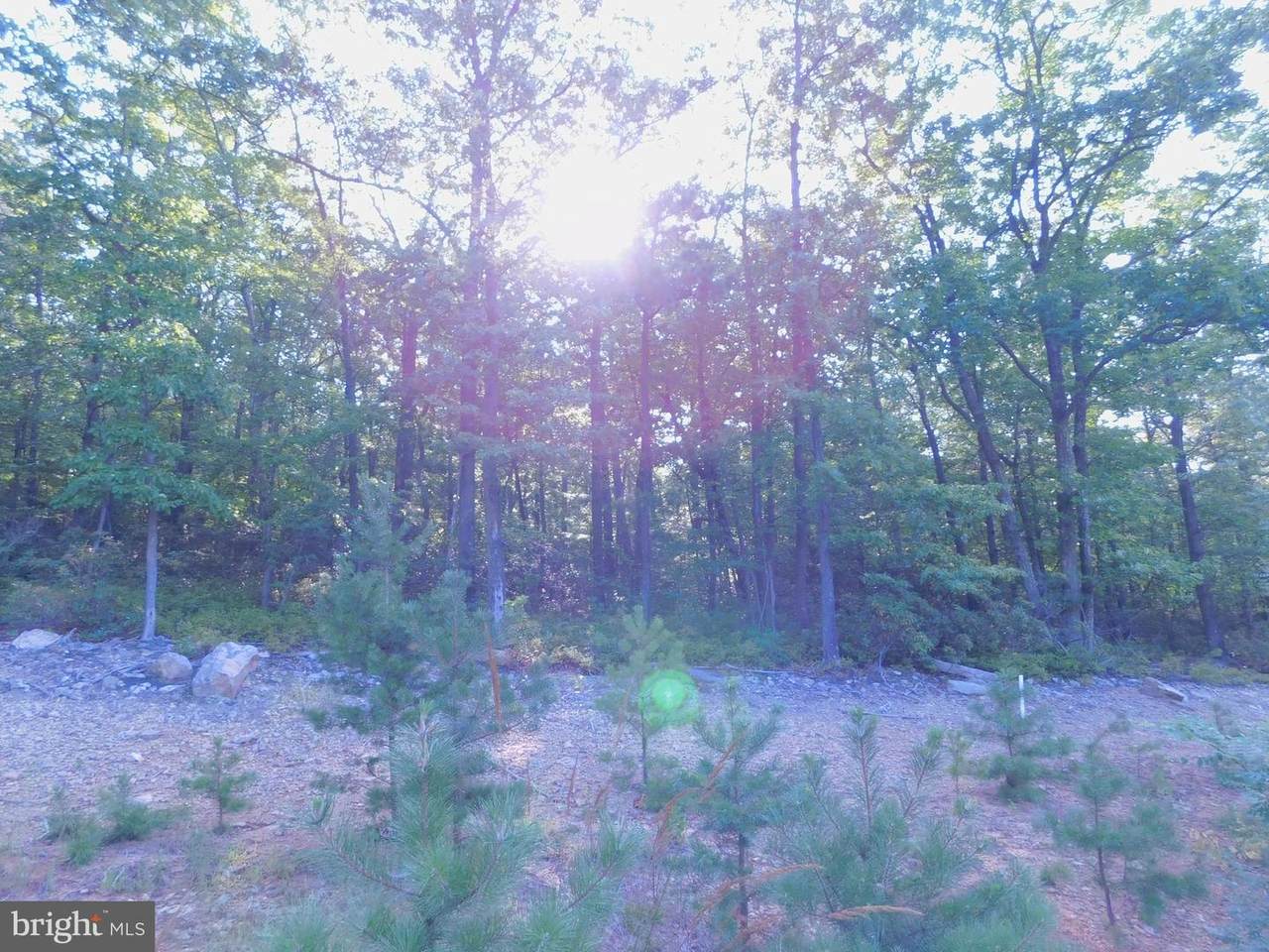24 Moundbuilder Loop - Photo 1