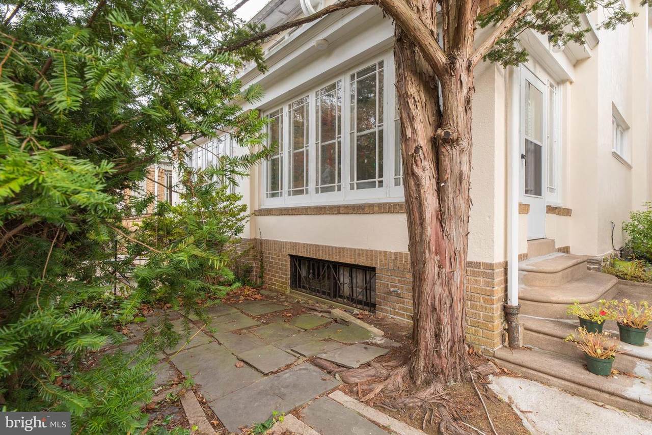 438 Mount Airy Avenue - Photo 1
