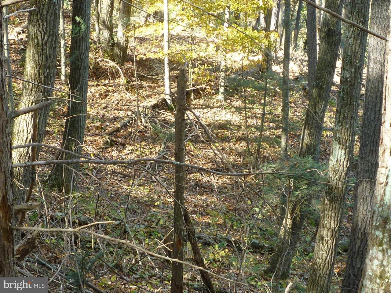 Greenview Dr. - Photo 1