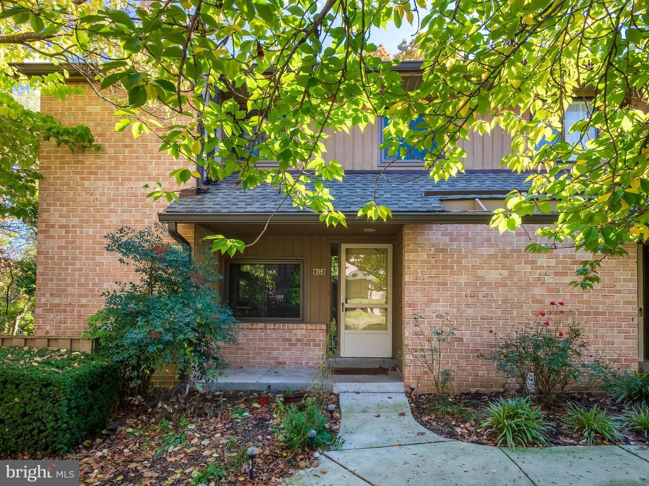 319 Paoli Woods - Photo 1