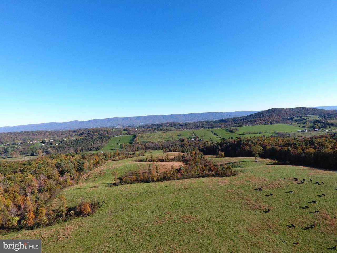Lot 2 Senedo Rd - Photo 1