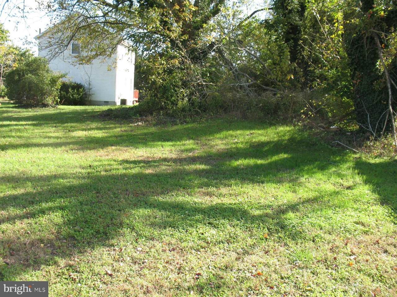 210 Martin Street - Photo 1